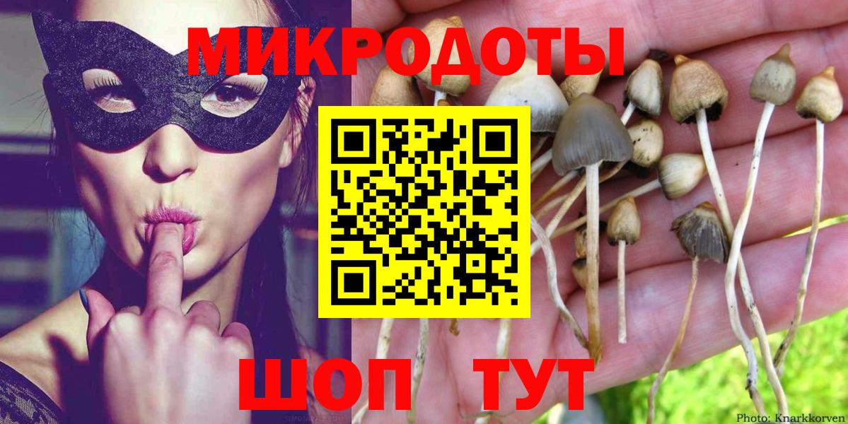 Псилоцибиновые грибы прущие грибы Кировск