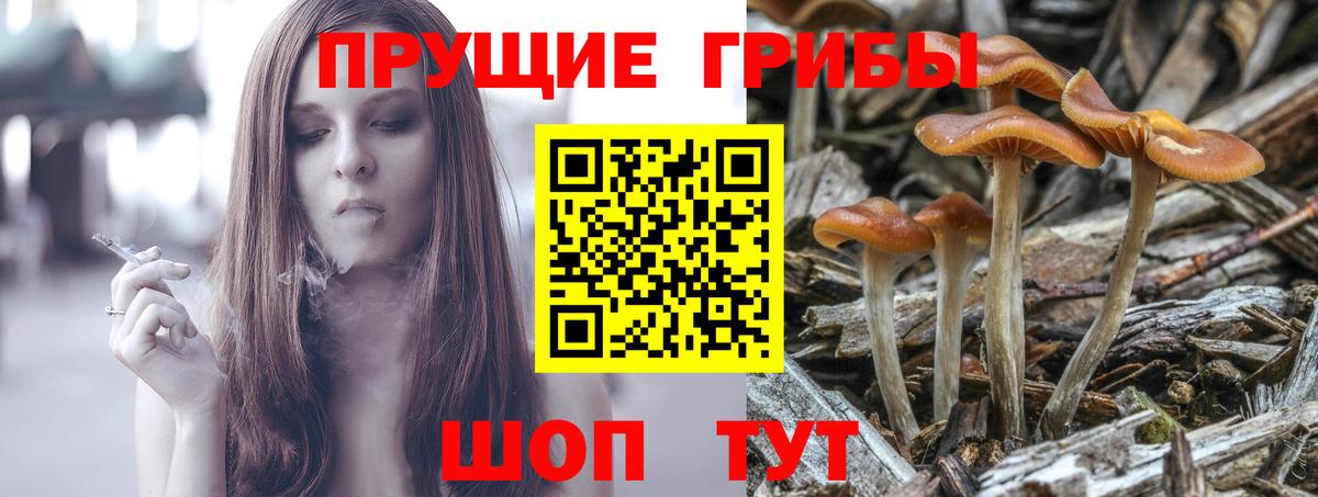 Кировск  Галлюциногенные грибы Psilocybe  Вход с VPN  Галлюциногенные грибы GOLDEN TEACHER 